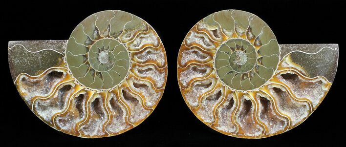 Polished Ammonite Pair - Agatized #56283